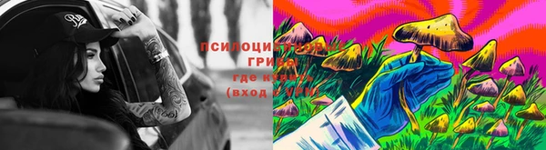 индика Володарск