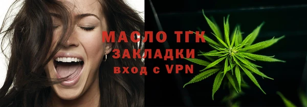 индика Володарск