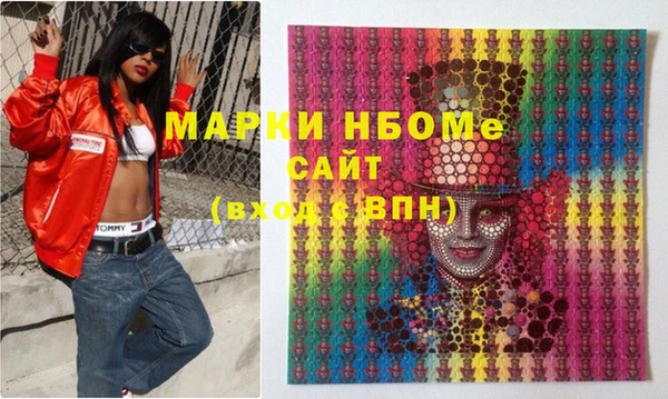 индика Володарск