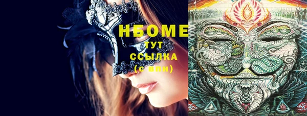 индика Володарск
