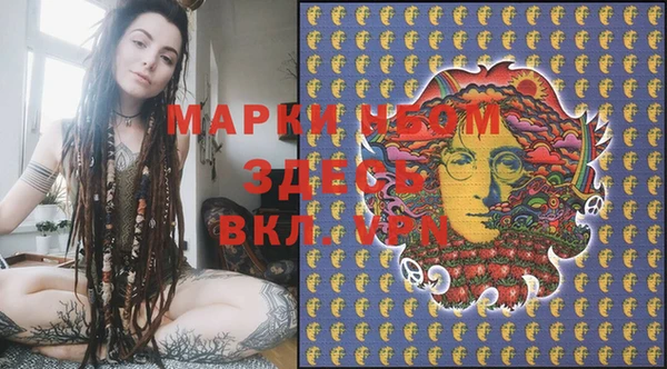 индика Володарск