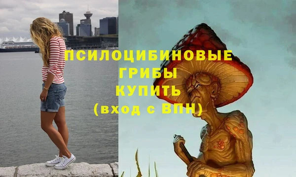 бошки Горнозаводск