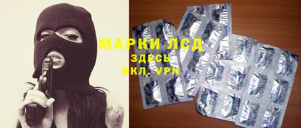 сатива Вязьма