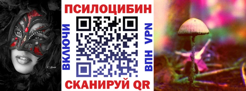 это Telegram  купить   Зверево  Галлюциногенные грибы мицелий 