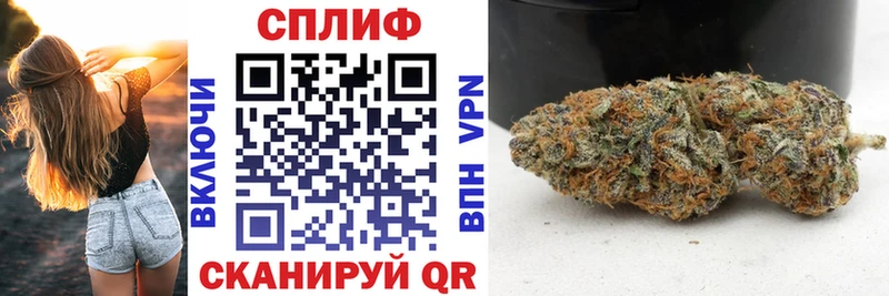 Бошки Шишки план  Зверево 